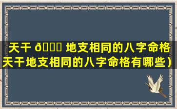 天干 🐝 地支相同的八字命格（天干地支相同的八字命格有哪些）
